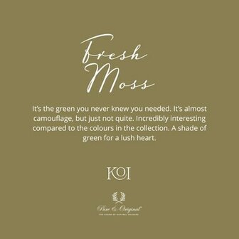 Pure &amp; Original krijtverf Fresh Moss