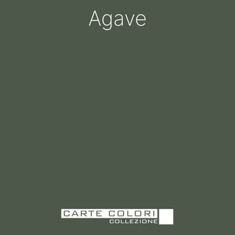 Carte Colori Puro Primer Agave