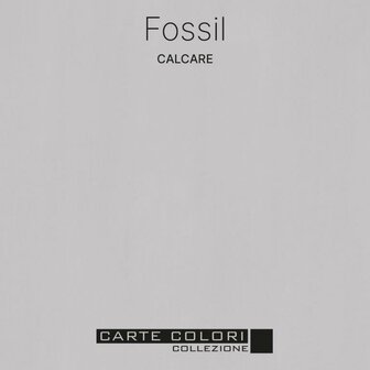 Carte Colori Calcare Kalkverf Fossil