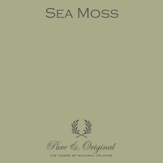 Pure &amp; Original krijtverf Sea Moss