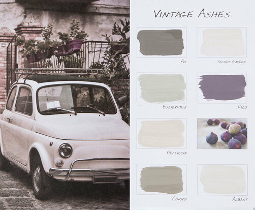Carte Colori Kleurenkaart Vintage Ashes