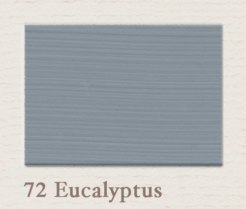 Painting the Past Krijtlak Matt Eucalyptus 72