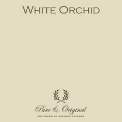 Pure & Original High Gloss White Orchid