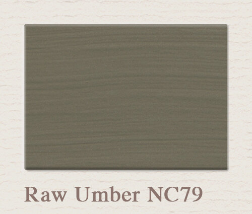 Painting the Past Proefpotje Raw Umber NC79
