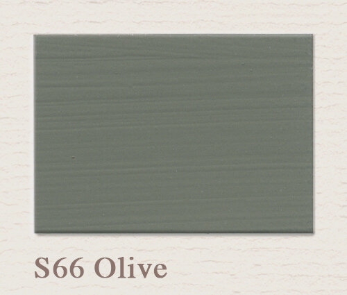 Olive S66