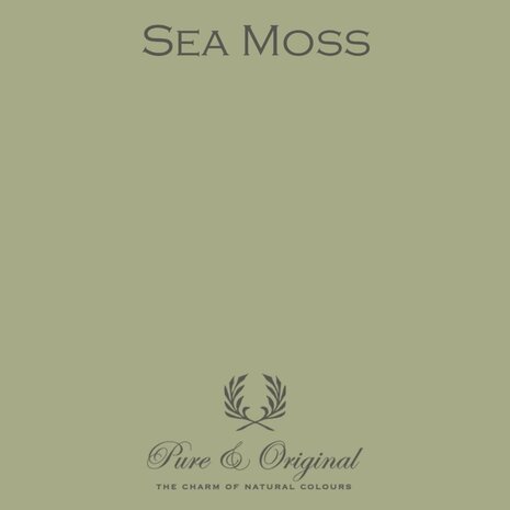 Pure & Original Traditional Paint Sea Moss