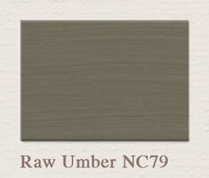 Painting the Past Proefpotje Raw Umber NC79