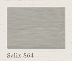 Painting the Past Proefpotje Salix S64